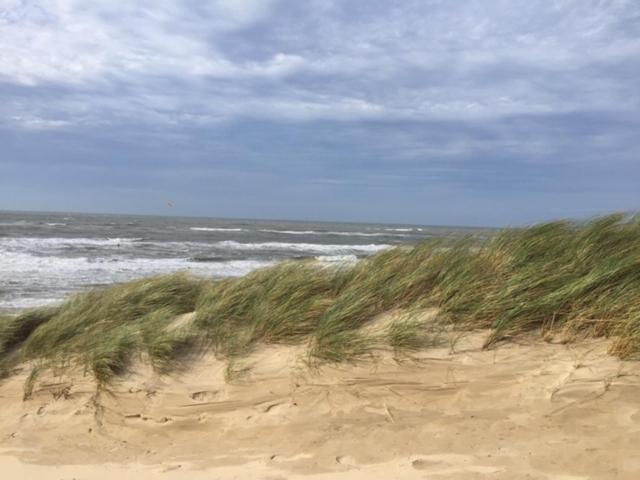 Apartmán De Nollen Egmond aan den Hoef Exteriér fotografie